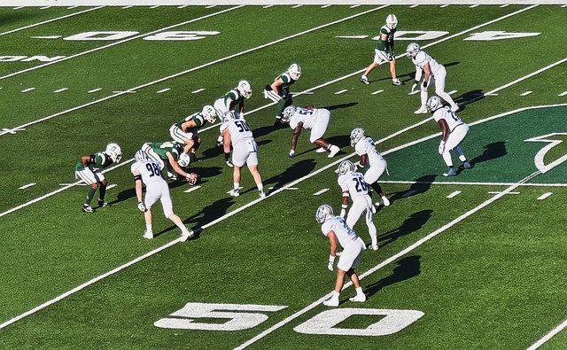 后赛无望的 后赛无望的