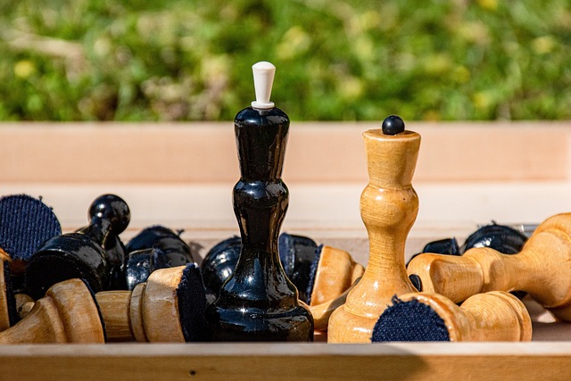 以确保财政 以确保财政