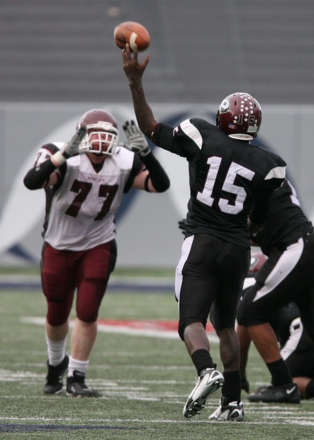 经验将被他 经验将被他